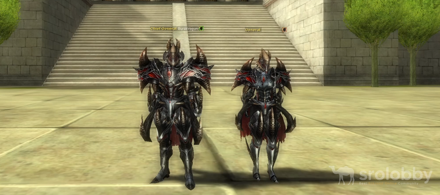 12dgarmorset.png