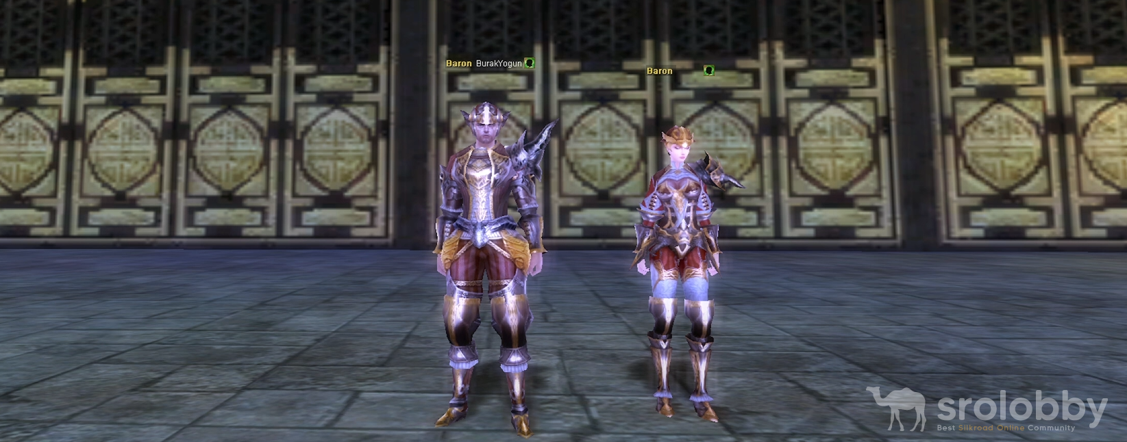 10dglightarmorset.png 10dglightarmorset.png