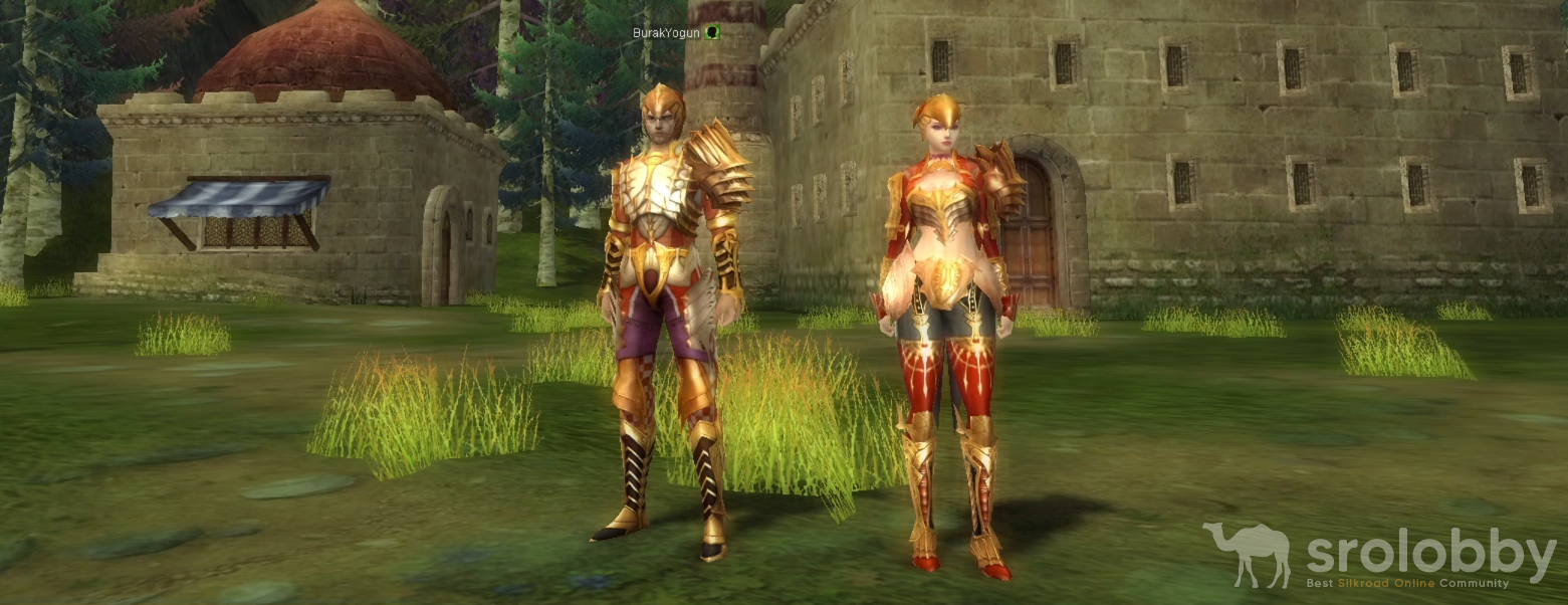 9dglightarmorset.png