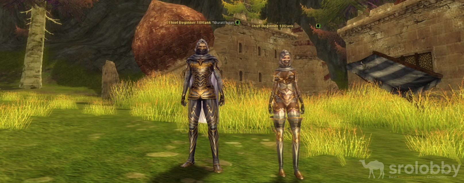 euadvancedthiefoutfit.png