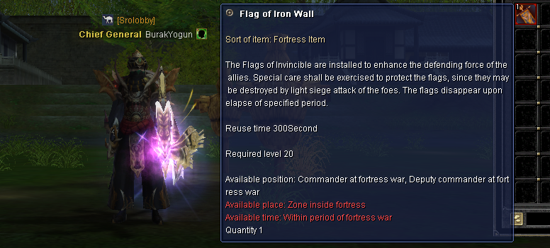 flagofironwall2.png